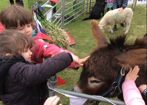 EYFS farm visit 470x337